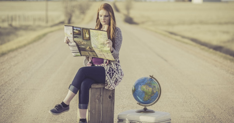 Traveler