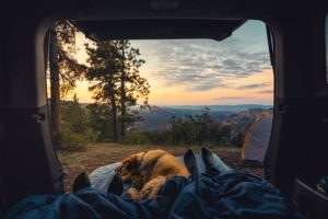 view